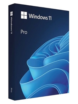 Windows 11/10/8.1 Professional + Office 2021/2019 Dual Boot pt-B torrent